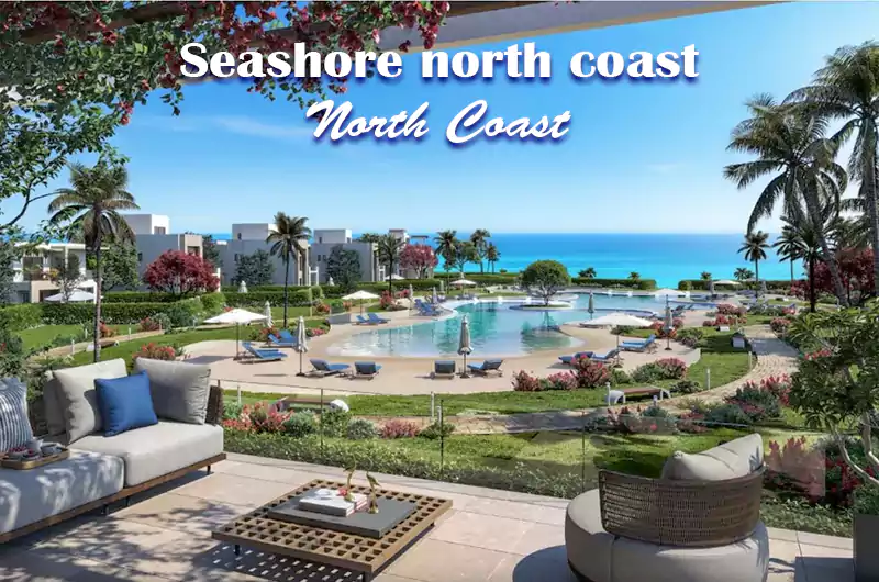 Top 5 Limited-Time Deals in Seashore north coast Don't Miss Out!